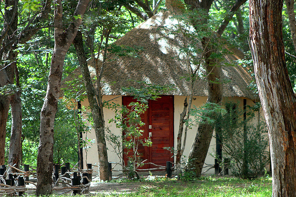 Gwango Heritage Resort Dete المظهر الخارجي الصورة