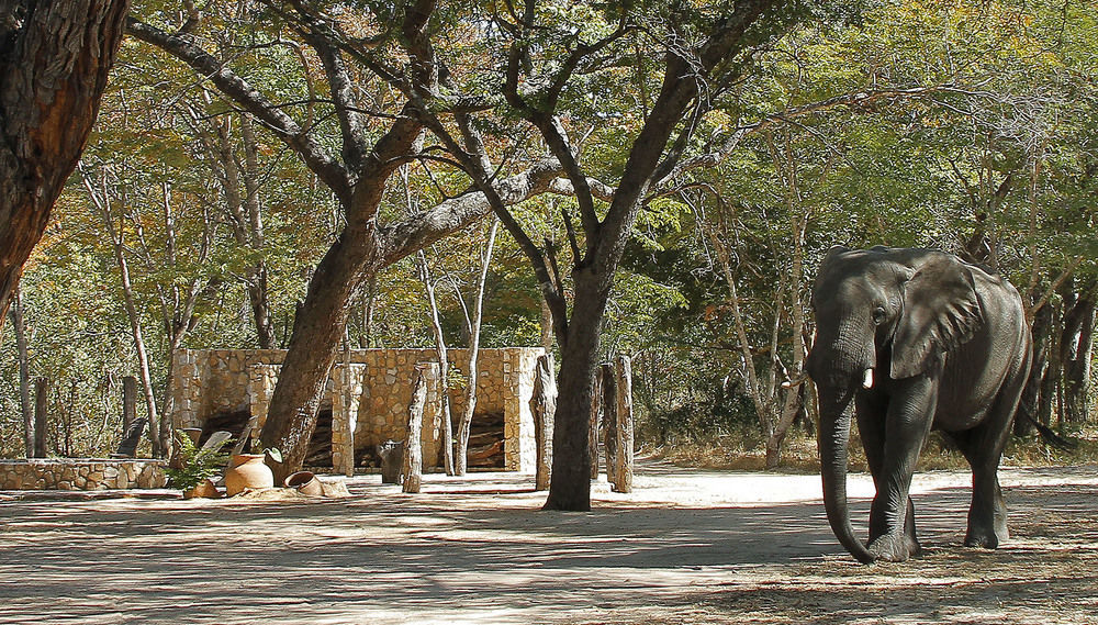 Gwango Heritage Resort Dete المظهر الخارجي الصورة