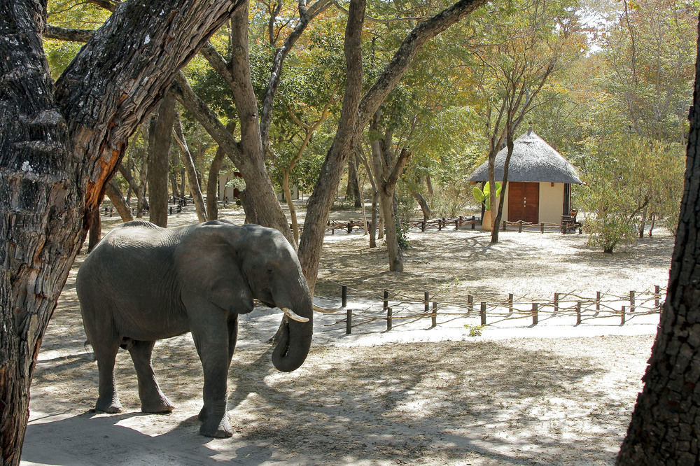 Gwango Heritage Resort Dete المظهر الخارجي الصورة