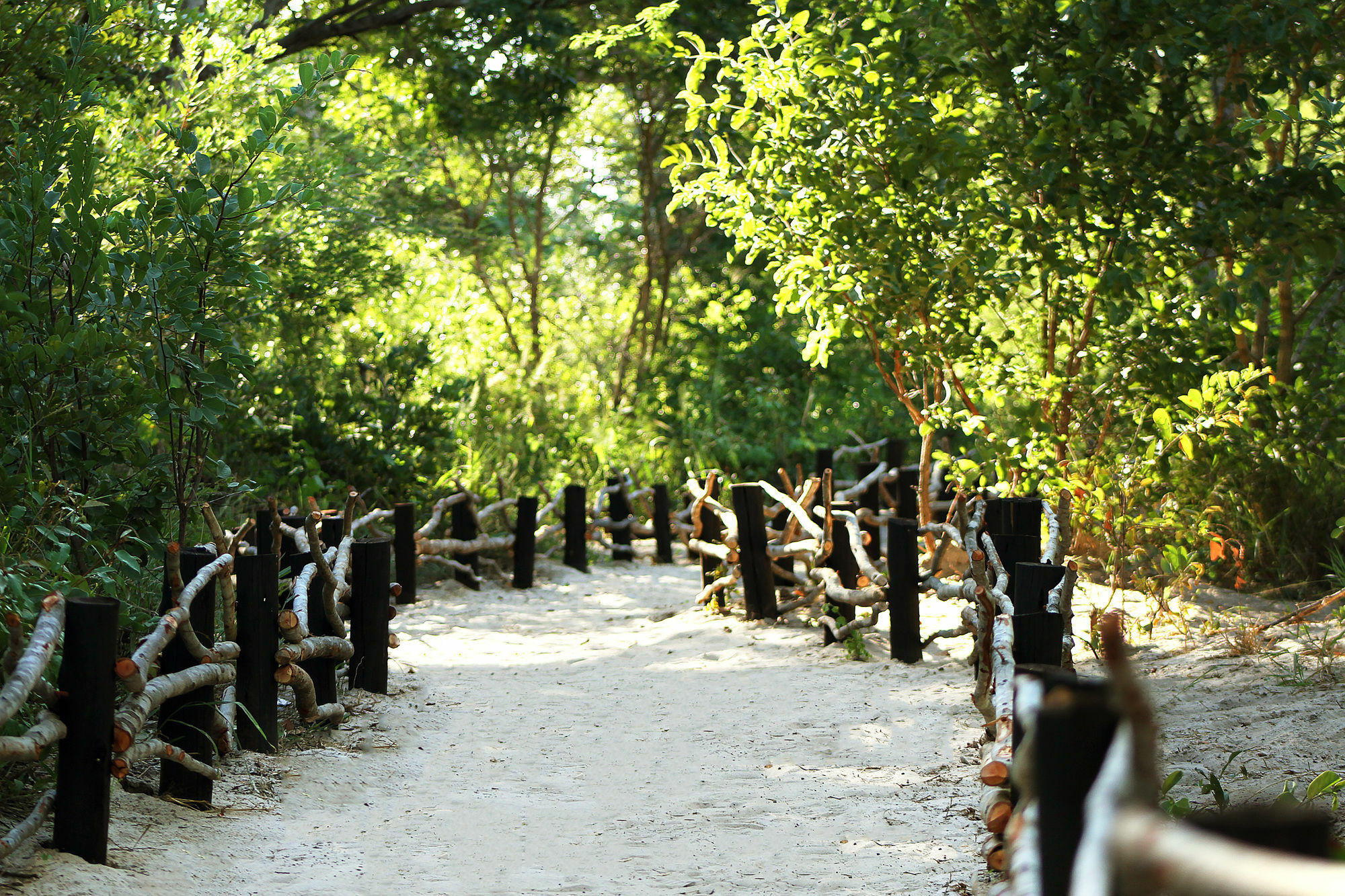 Gwango Heritage Resort Dete المظهر الخارجي الصورة